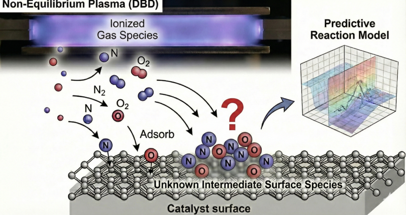 Zero-Dimensional Plasma Catalysis Model for Surface Coverage of Nitrogen and Oxygen Atoms